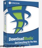 is a download manager and download that gets everything on the web. it works with all popular web